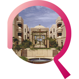 أقسام جامعة الملك عبد العزيز
